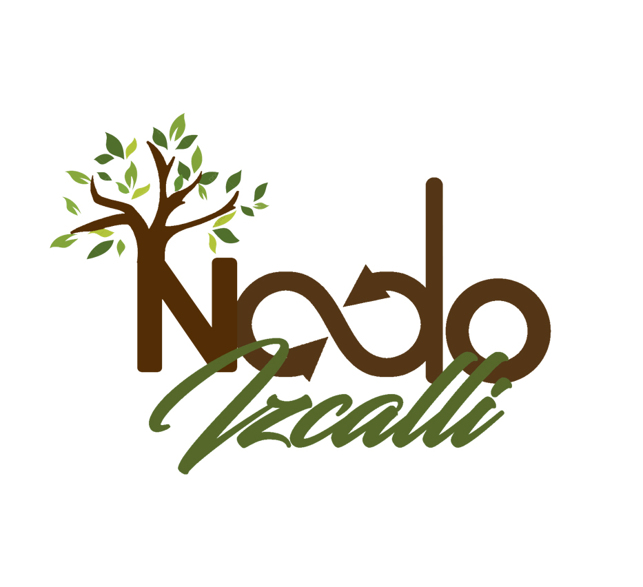 Logo del NODESS