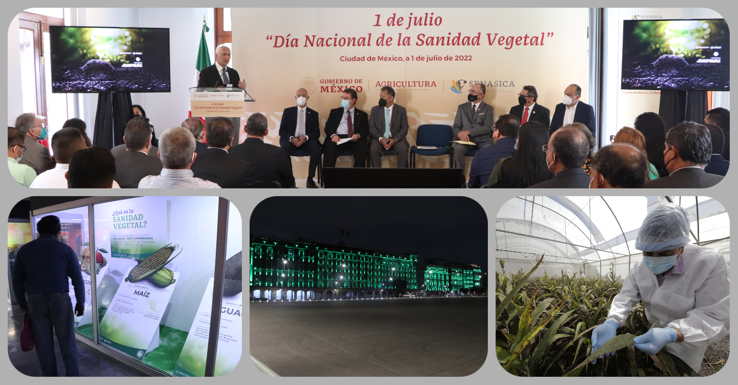 En 2022 celebramos por segunda ocasión el Día Nacional de la Sanidad Vegetal instituido en 2021 por el presidente Andrés Manuel López Obrador