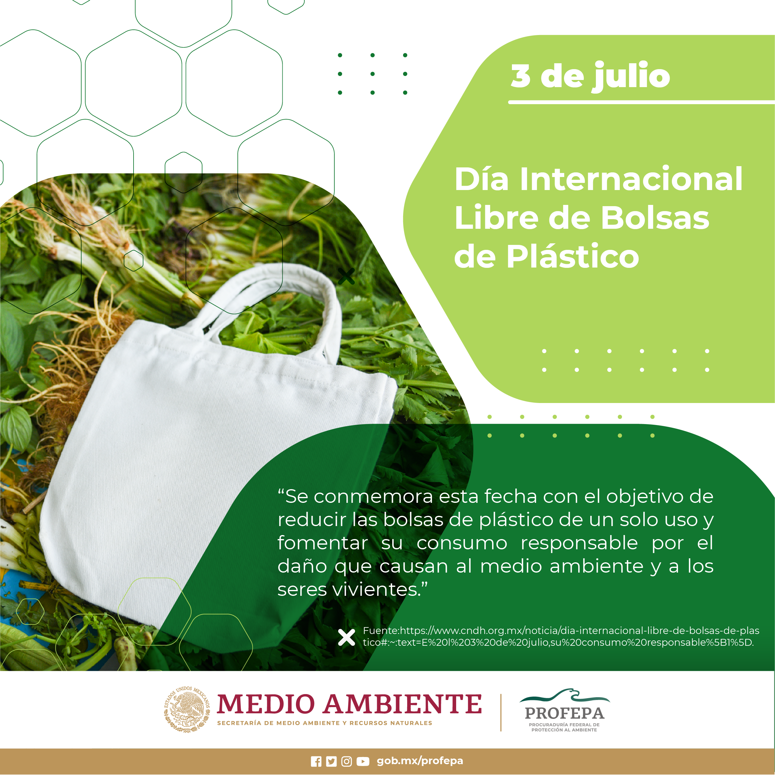 Día Internacional Libre de Bolsas de Plástico, Procuraduria Federal de  Proteccion al Ambiente, Gobierno