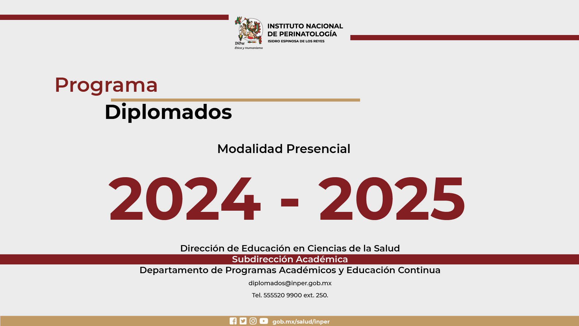 PROGRAMA DIPLOMADOS 2024-2025