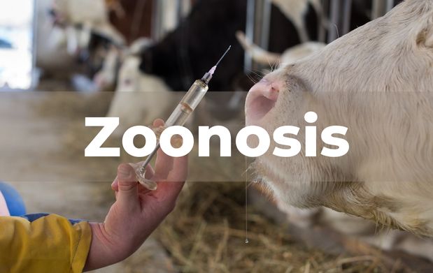 6 de julio, Día mundial de la zoonosis 