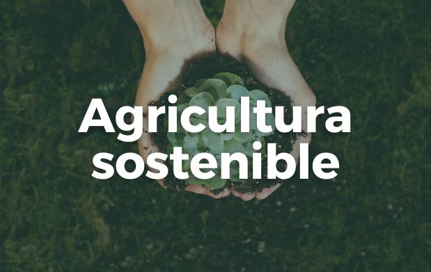 Acciones para una agricultura sostenible
