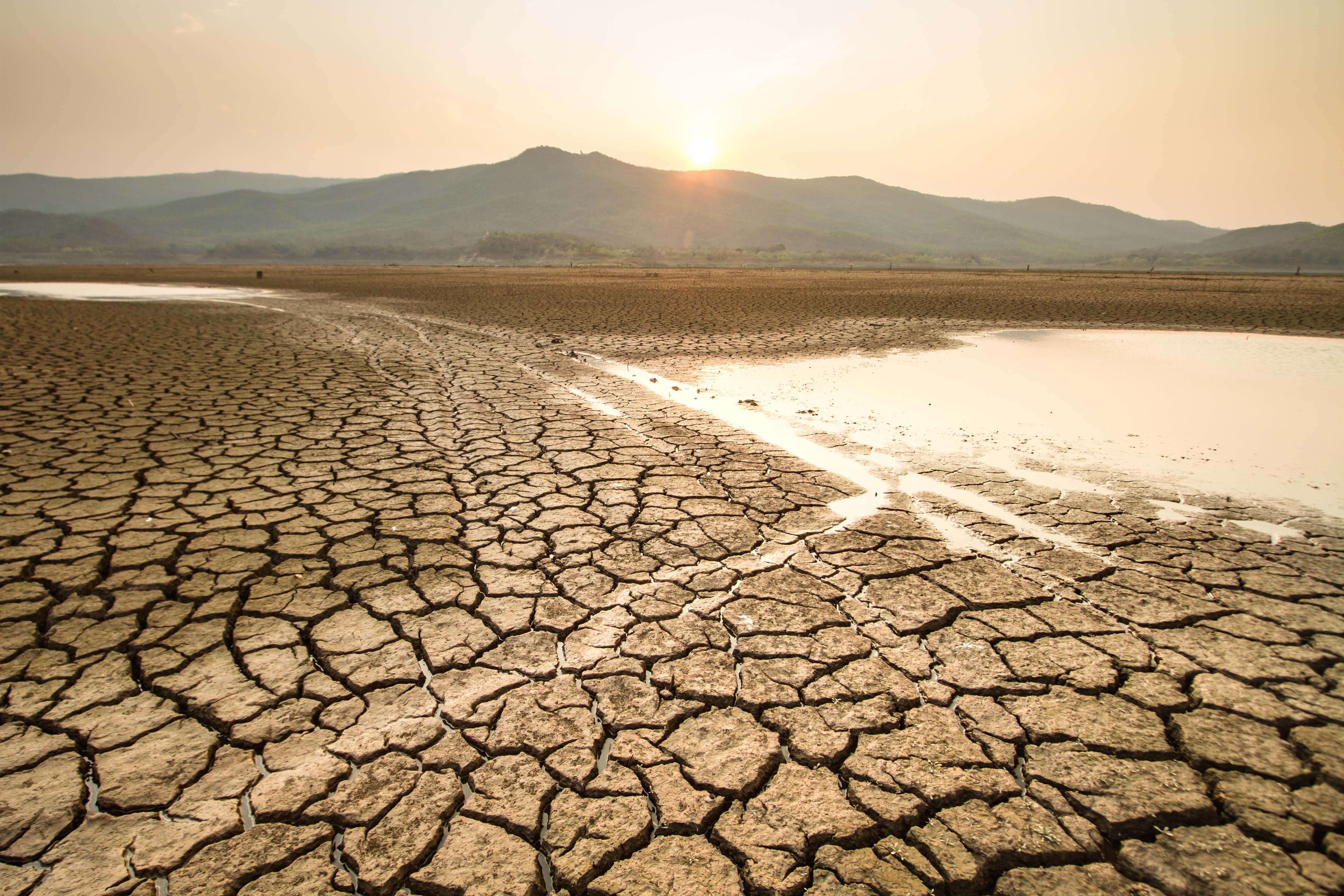 Изменение климата влияние на природу. Засуха. Пустыня засуха. Высохшее озеро. Осенняя засуха.