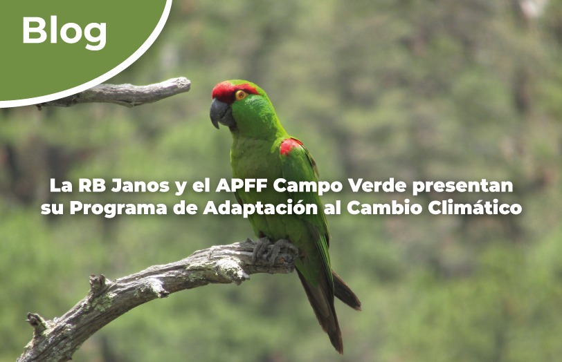 La RB Janos y el APFF Campo Verde presentan su Programa de Adaptación al Cambio Climático.