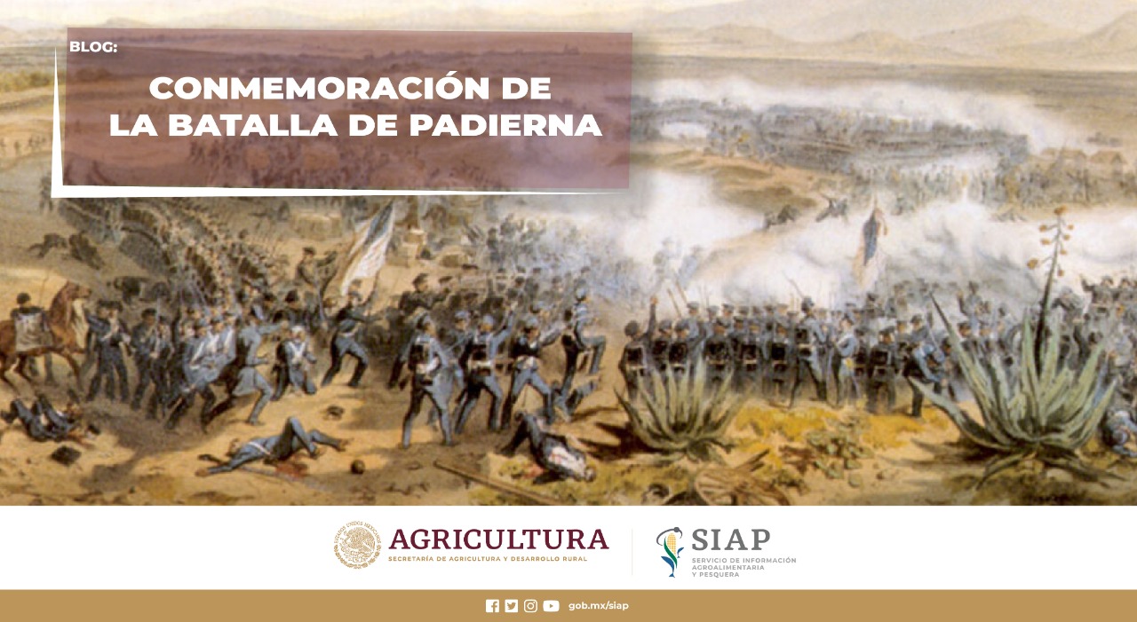 Conmemoración, Batalla, Padierna, Contreras, 1847, México