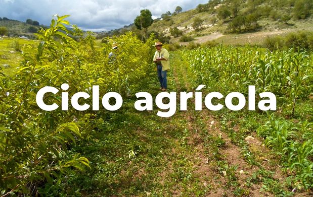 Calendario Agrícola Mexicano: una guía para las cosechas