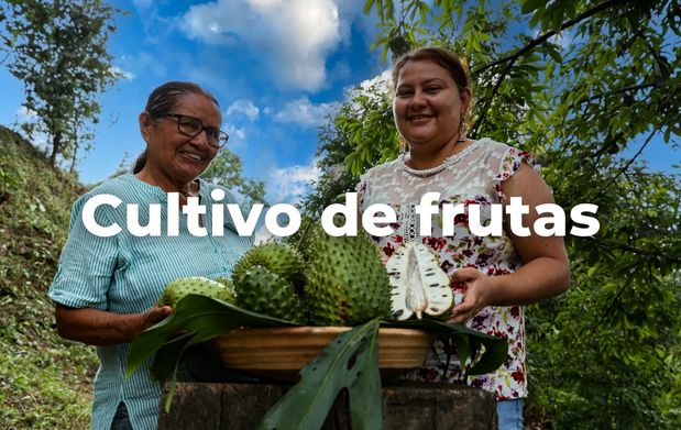 Frutas, una delicia del campo mexicano 