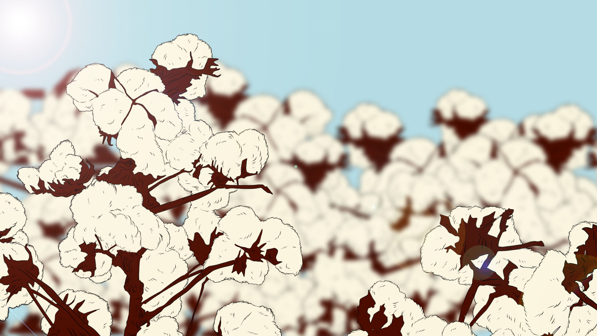 Ilustración de plantíos de Algodón 