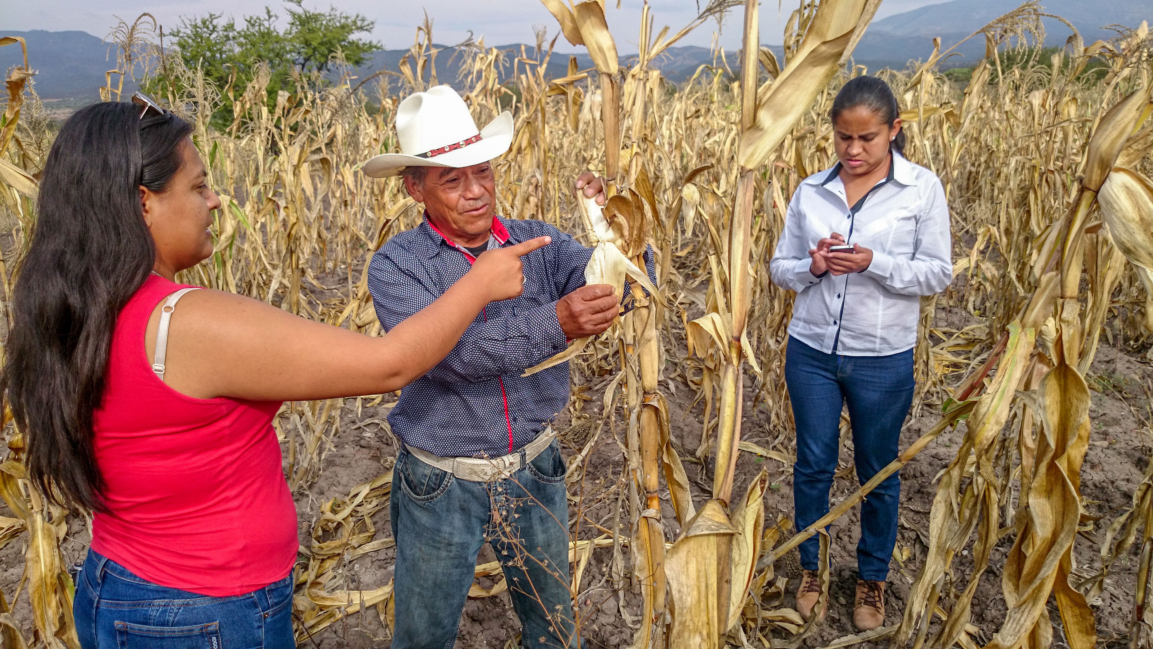 Ante sequía, apoyamos a las y los productores de cinco estados del norte del país con cultivos de bajo uso de agua