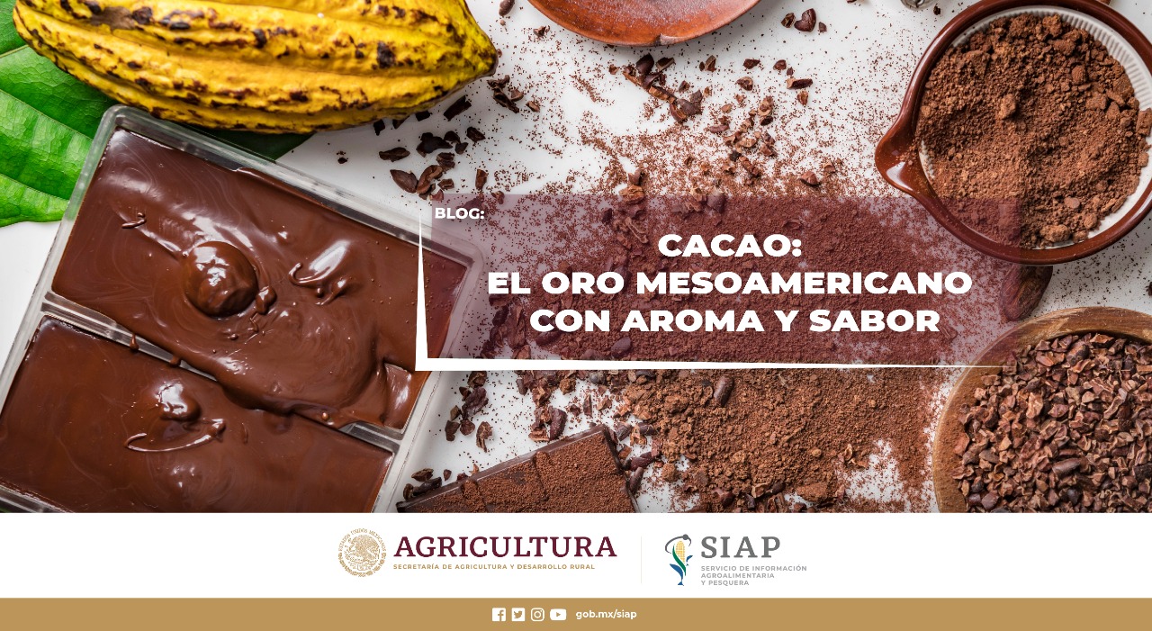 Día Nacional del Cacao y el Chocolate, siete notas peculiares