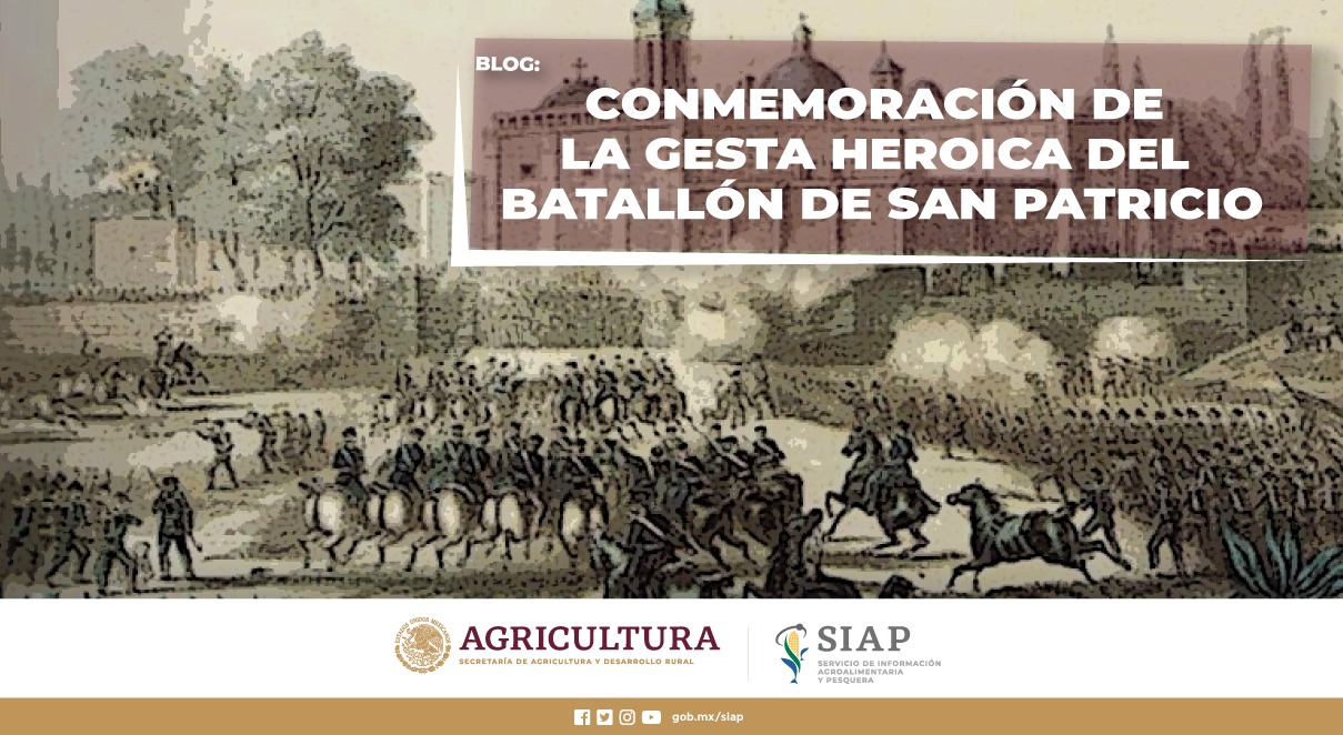 Conmemoración, gesta, heroica, Batallón, San Patricio, 1847, México