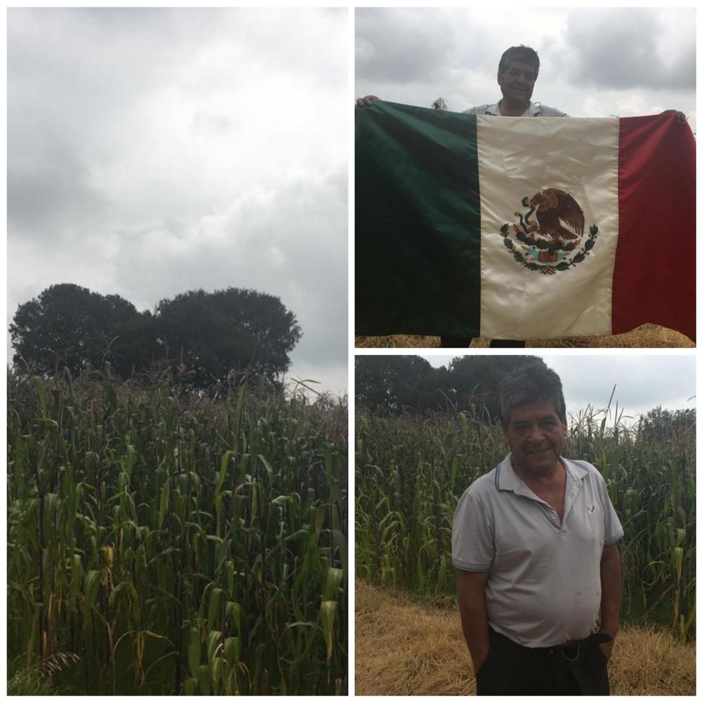 Cultivo de maíz en Topilejo, Tlalpan, Ciudad de México.