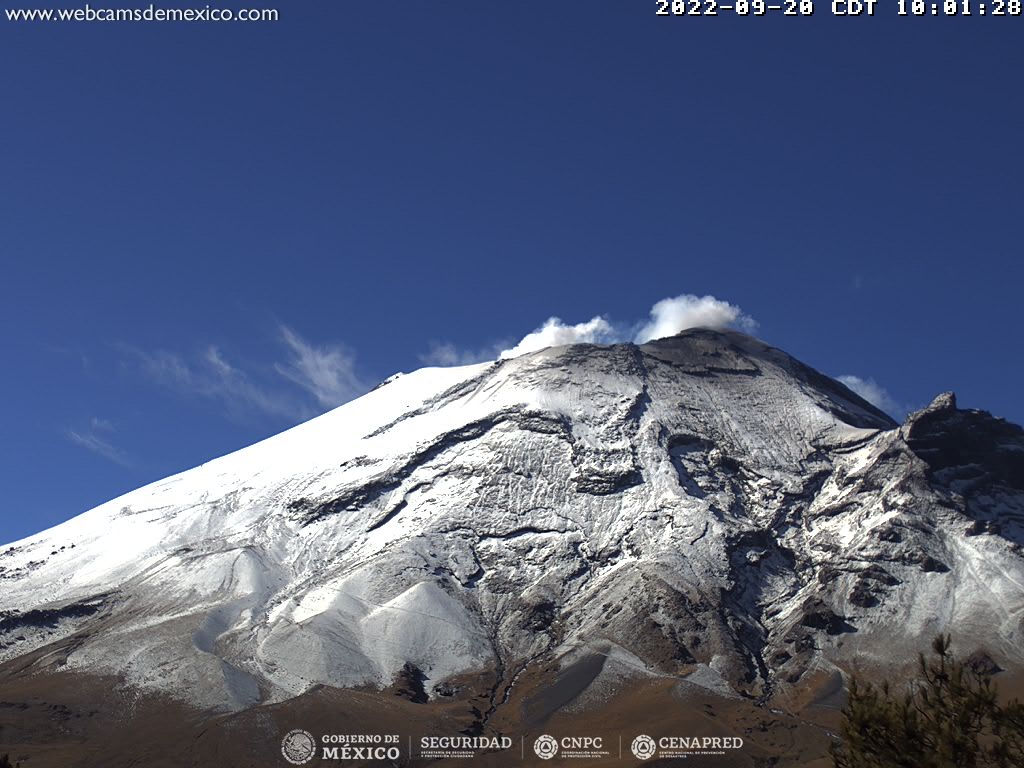 En las últimas 24 horas, mediante los sistemas de monitoreo del volcán Popocatépetl, se detectaron 45 exhalaciones, 8 minutos de tremor y un sismo volcanótectónico.