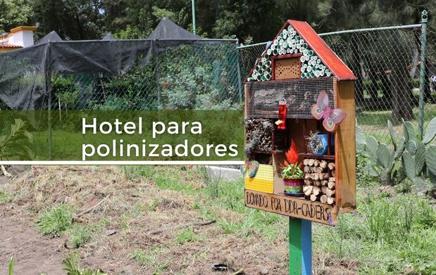 Qué un hotel para Secretaría de Agricultura y Desarrollo Rural | Gobierno | gob.mx