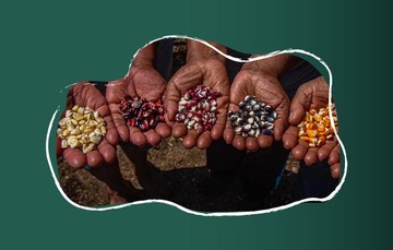 La Semarnat seguirá impulsando la agroecología como una técnica de cultivo ambiental en beneficio de la salud humana.