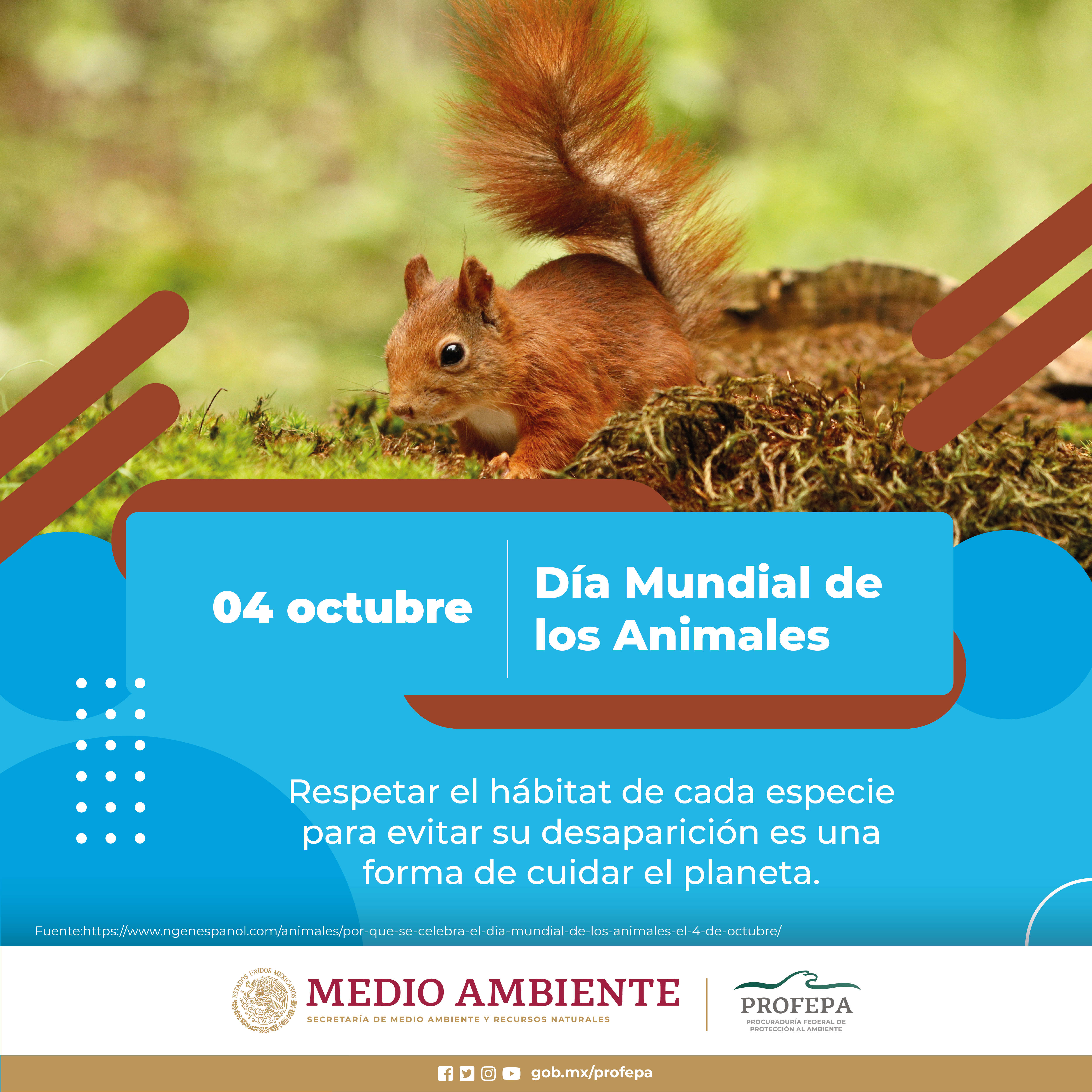 Día Mundial de los animales | Procuraduria Federal de Proteccion al  Ambiente | Gobierno | gob.mx