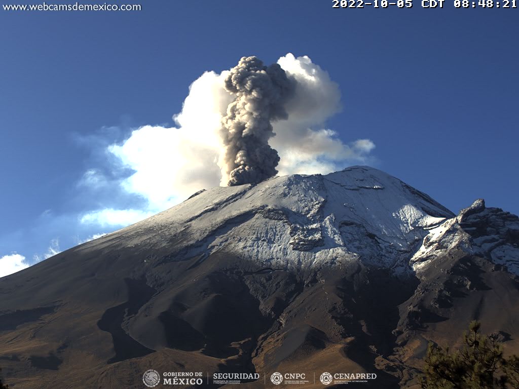En las últimas 24 horas, mediante los sistemas de monitoreo del volcán Popocatépetl, se detectaron 130 exhalaciones, acompañadas de vapor de agua, gases volcánicos y ligeras cantidades de ceniza. Adicionalmente, se registraron 25 minutos de tremor.