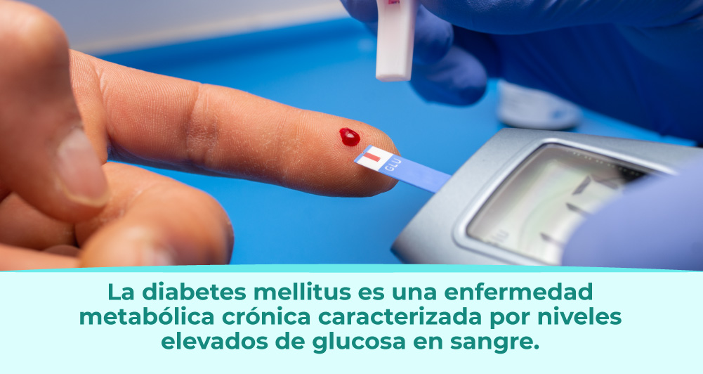 Una prueba para la diabetes. 