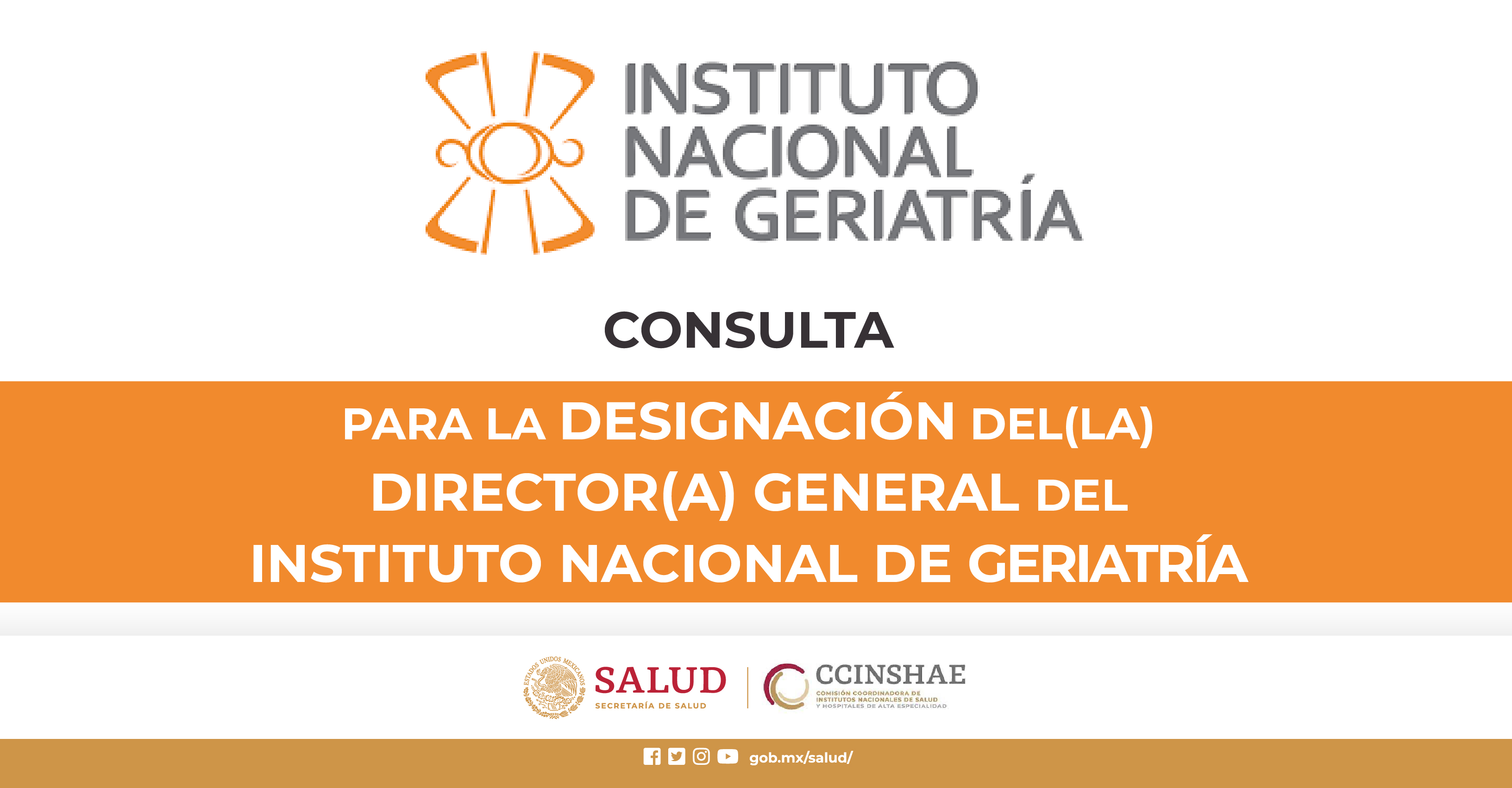CONSULTA PARA LA DESIGNACIÓN DEL (LA) DIRECTOR(A) GENERAL DEL INSTITUTO NACIONAL DE GERIATRÍA