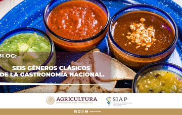 16 de noviembre: Día Nacional de la Gastronomía Mexicana  