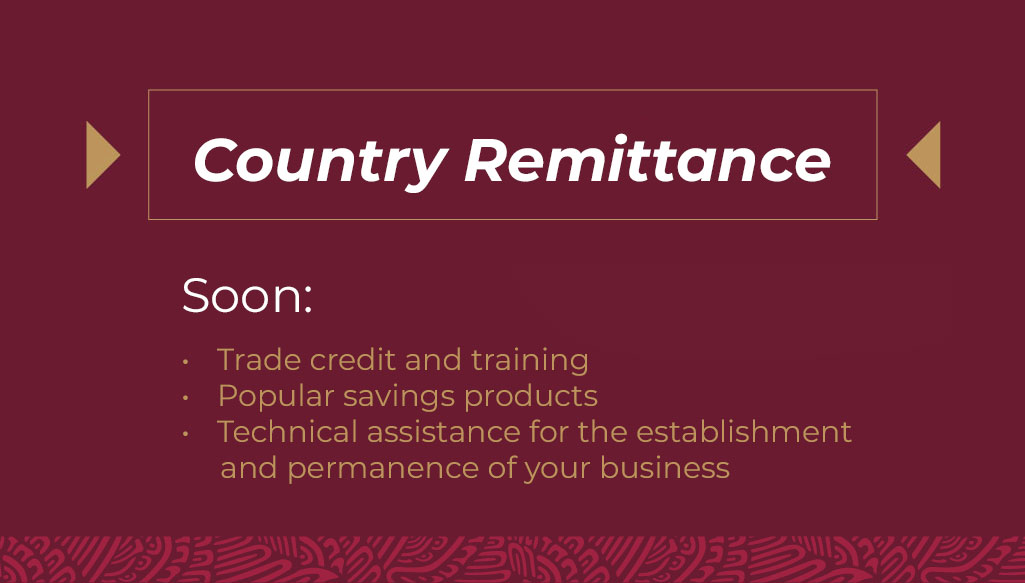 Country Remittance  