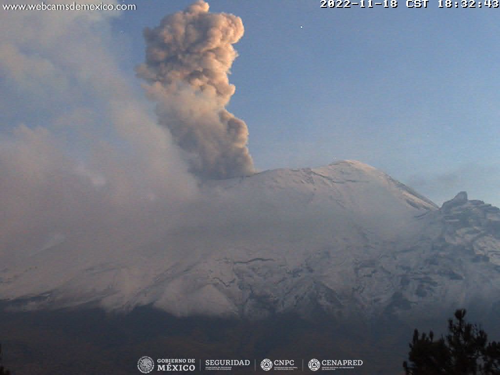 En las últimas 24 horas, mediante los sistemas de monitoreo del volcán Popocatépetl, se detectaron 122 exhalaciones, 40 minutos de secuencia de exhalaciones y 136 minutos de tremor de los cuales 52 minutos son de tipo armónico.