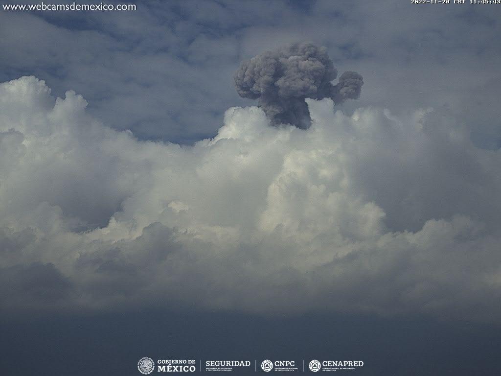 En las últimas 24 horas, mediante los sistemas de monitoreo del volcán Popocatépetl, se detectaron 79 exhalaciones