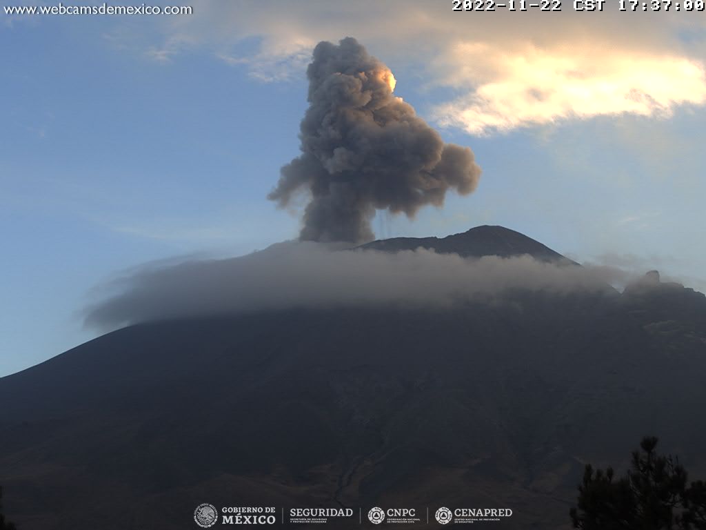 En las últimas 24 horas, mediante los sistemas de monitoreo del volcán Popocatépetl, se detectaron 104 exhalaciones acompañadas de vapor de agua, gases volcánicos y en algunas ocasiones ceniza.