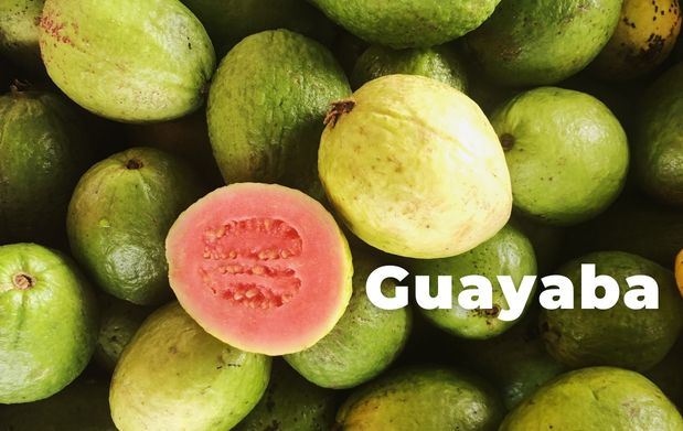 Guayaba, fruta consentida de los mexicanos