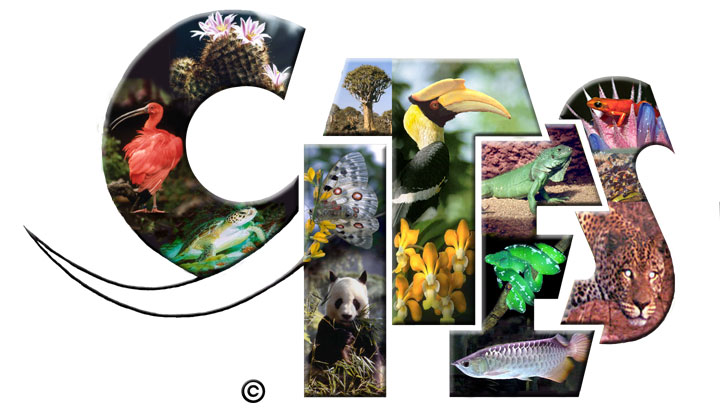 CITES: Convención sobre el Comercio Internacional de Especies Amenazadas de Fauna y Flora Silvestres