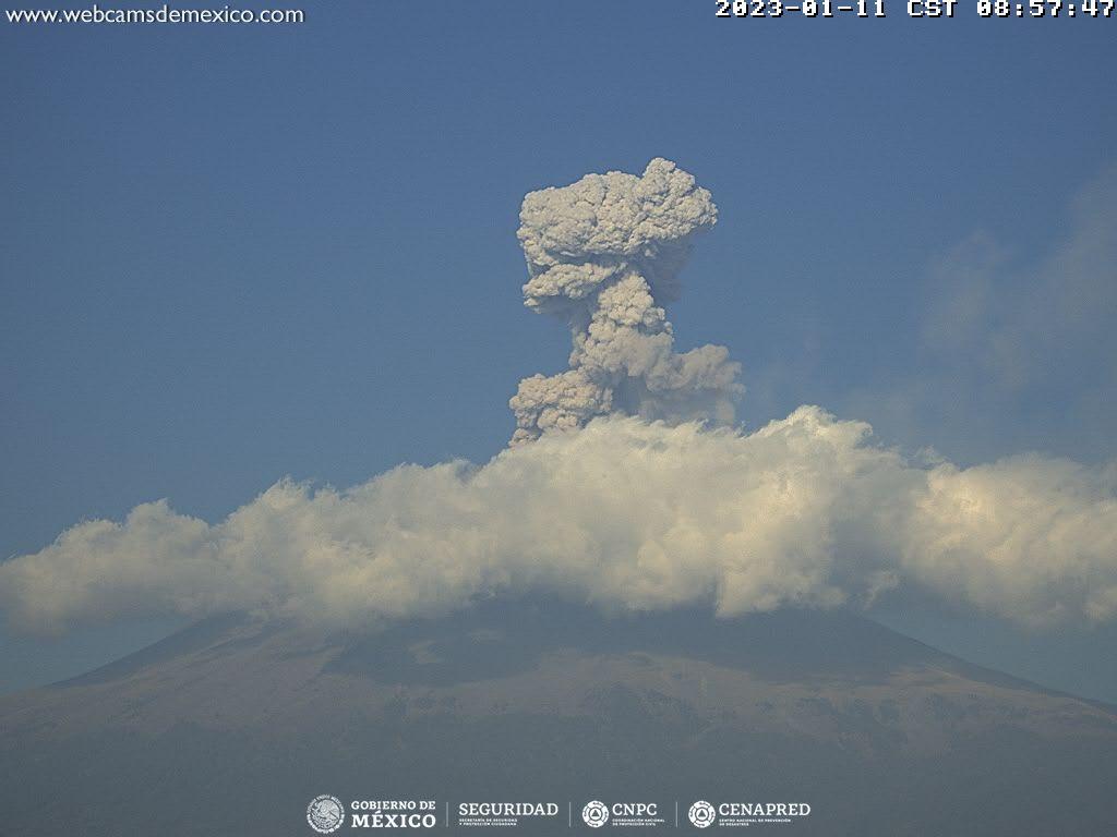 En las últimas 24 horas, mediante los sistemas de monitoreo del volcán Popocatépetl, se detectaron 128 exhalaciones acompañadas de vapor de agua, gases volcánicos y ceniza, así como tres explosiones menores 