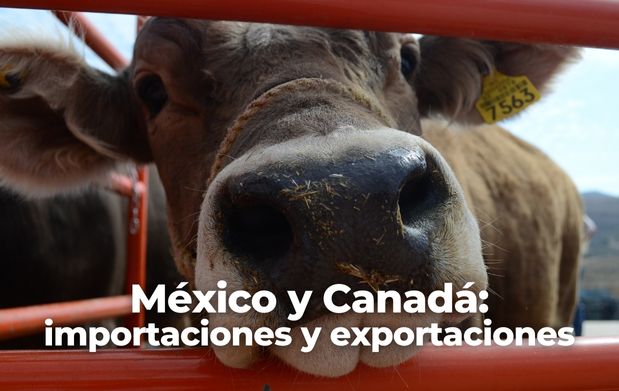 México y Canadá: importaciones y exportaciones 