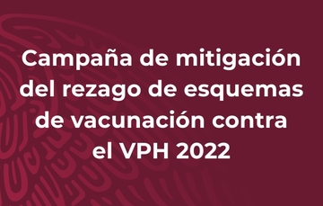 Logro Sectorial por grupo blanco y de riesgo, Campaña de mitigación del rezago de esquemas de vacunación contra el VPH, 2022