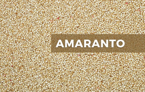 Amaranto, un cultivo de alto valor nutrimental
