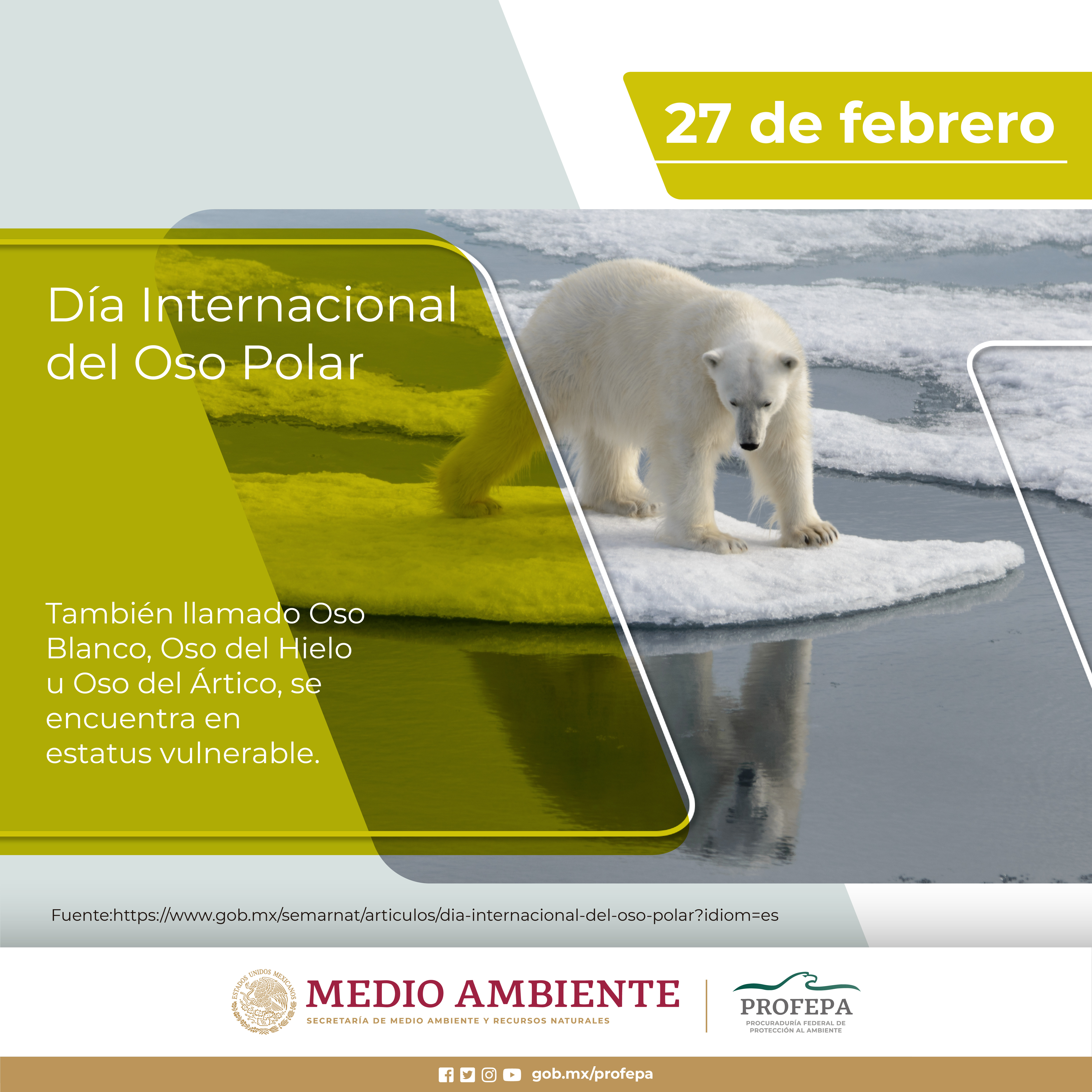 Día Internacional del Oso Polar