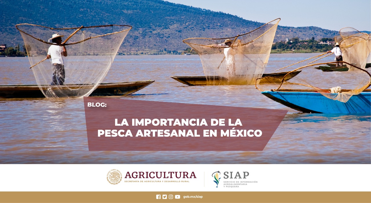 Los retos a los que se enfrenta la pesca artesanal en México y en el mundo.