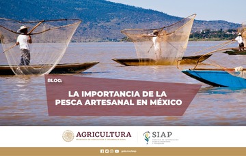 Los retos a los que se enfrenta la pesca artesanal en México y en el mundo.