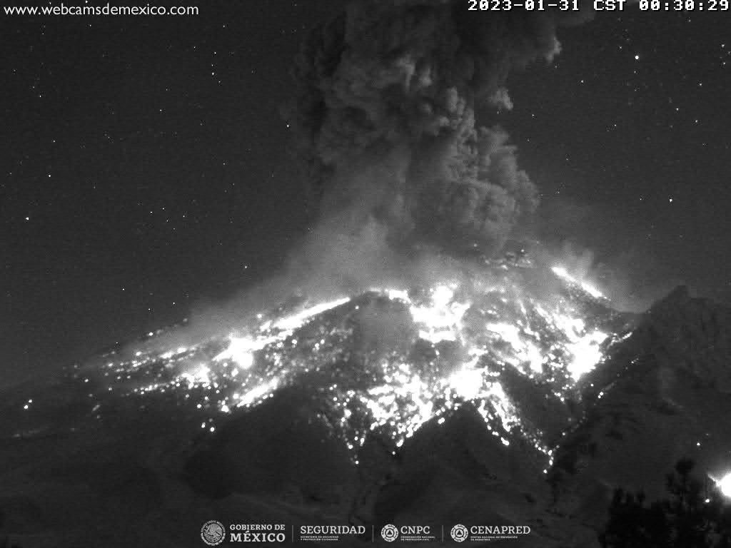 En las últimas 24 horas, mediante los sistemas de monitoreo del volcán Popocatépetl, se detectaron 198 exhalaciones acompañadas de vapor de agua, otros gases volcánicos y ceniza. Adicionalmente, se contabilizaron 386 minutos de tremor, 5 explosiones.