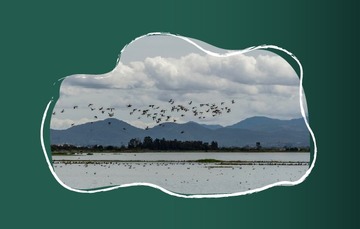 México cuenta con 144 humedales designados como Sitios Ramsar.