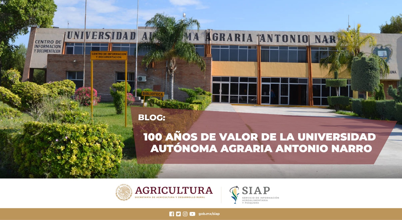 Formando profesionales al servicio del sector rural y la investigación en México