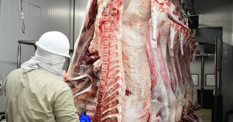 La autorización otorgada a Brasil es producto del trabajo entre el Senasica y sus contrapartes brasileñas, el cual inició hace más de 12 años, cuando el país sudamericano solicitó la exportación a México de carne de ave, cerdo y res