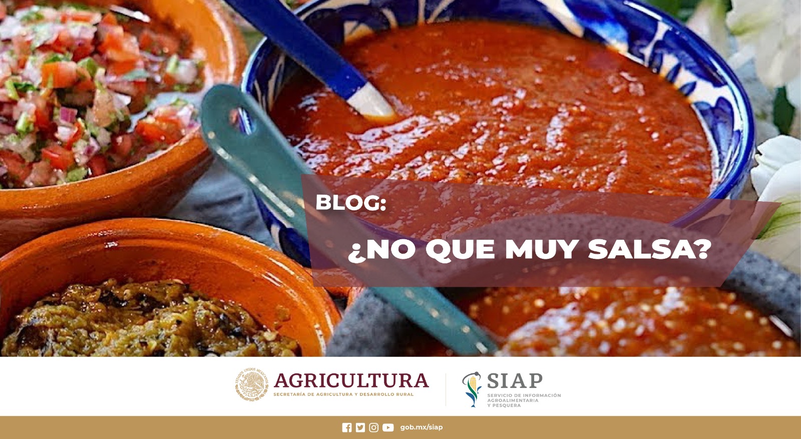 Conociendo la riqueza cultural de las salsas mexicanas