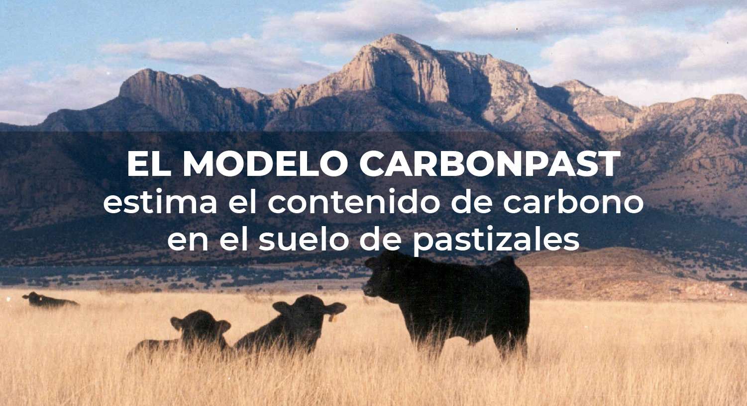 Almacén y captura de carbono en ranchos ganaderos | Instituto Nacional de  Investigaciones Forestales, Agrícolas y Pecuarias | Gobierno 