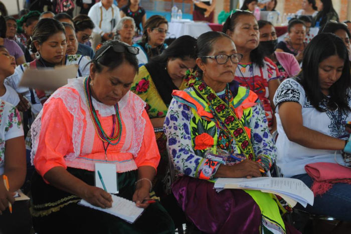 Luchan mujeres indígenas y afromexicanas por sus derechos individuales y colectivos.