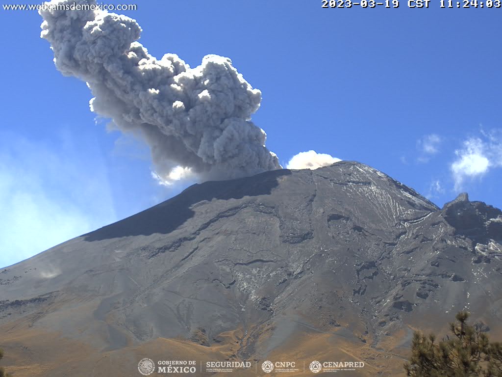 Durante las últimas 24 horas, mediante los sistemas de monitoreo del volcán Popocatépetl, se detectaron 123 exhalaciones acompañadas de vapor de agua, gases volcánicos y en ocasiones ligeras cantidades de ceniza.