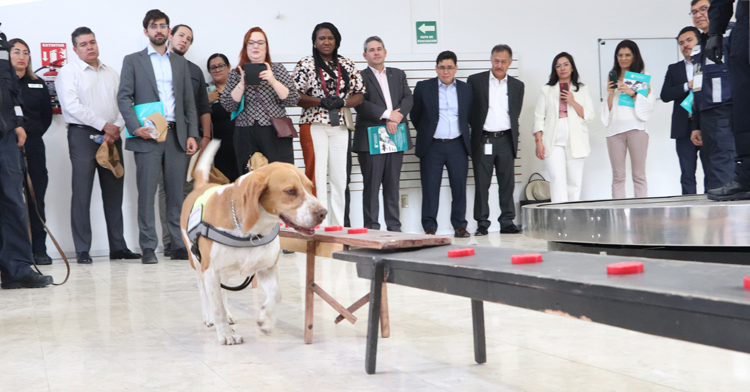 La comitiva brasileña visitó el Centro de Adiestramiento Canino del Senasica.