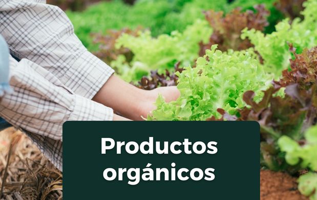 Los productos orgánicos están libres de residuos tóxicos procedentes de químicos.