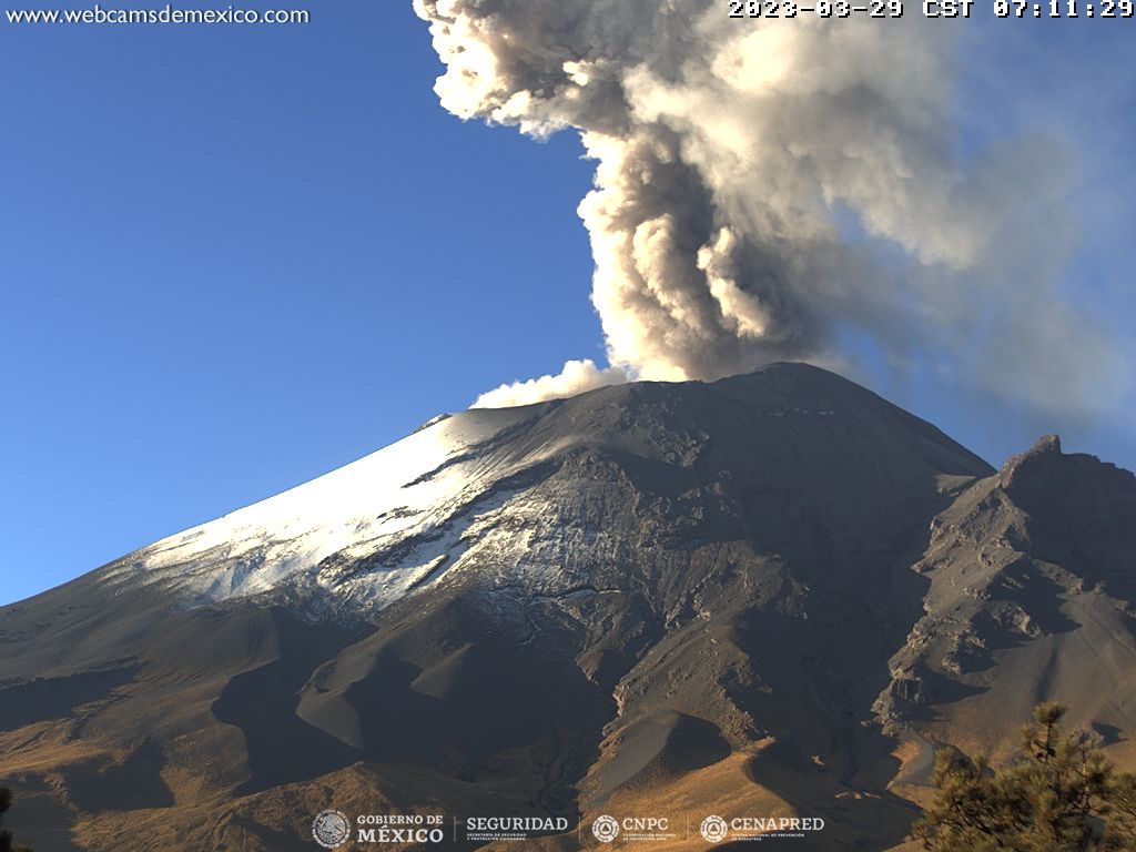 Durante las últimas 24 horas, mediante los sistemas de monitoreo del volcán Popocatépetl, se detectaron 119 exhalaciones acompañadas de vapor de agua, gases volcánicos y ceniza.