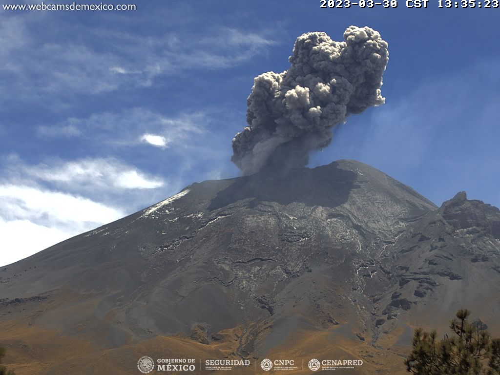 Durante las últimas 24 horas, mediante los sistemas de monitoreo del volcán Popocatépetl, se detectaron 176 exhalaciones de baja intensidad.