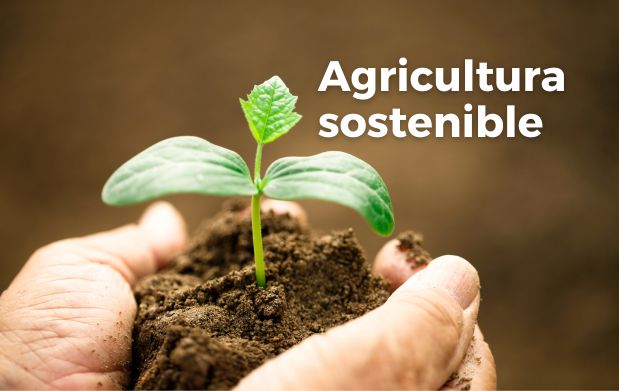 Agricultura sostenible 